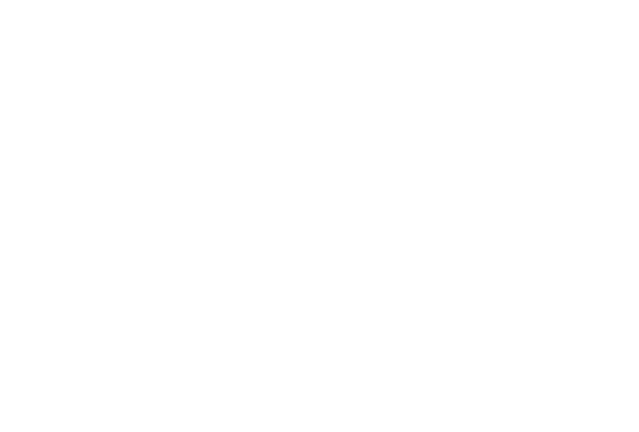 Etihad Logo